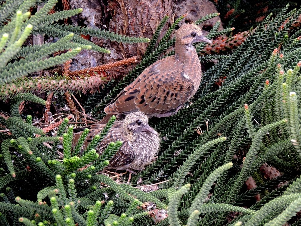 Photograph by Mônica Rodrigues