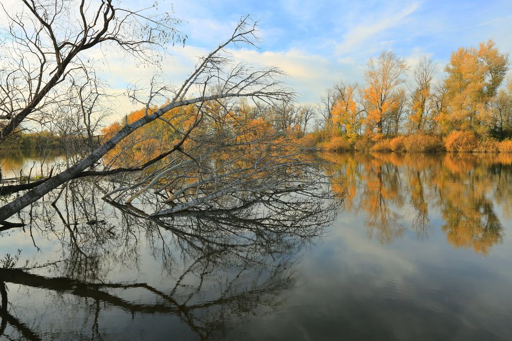 Photograph by Ирина Сушко