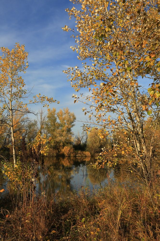 Photograph by Ирина Сушко