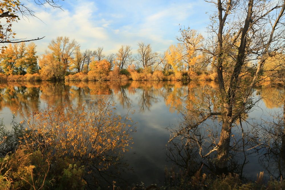 Photograph by Ирина Сушко