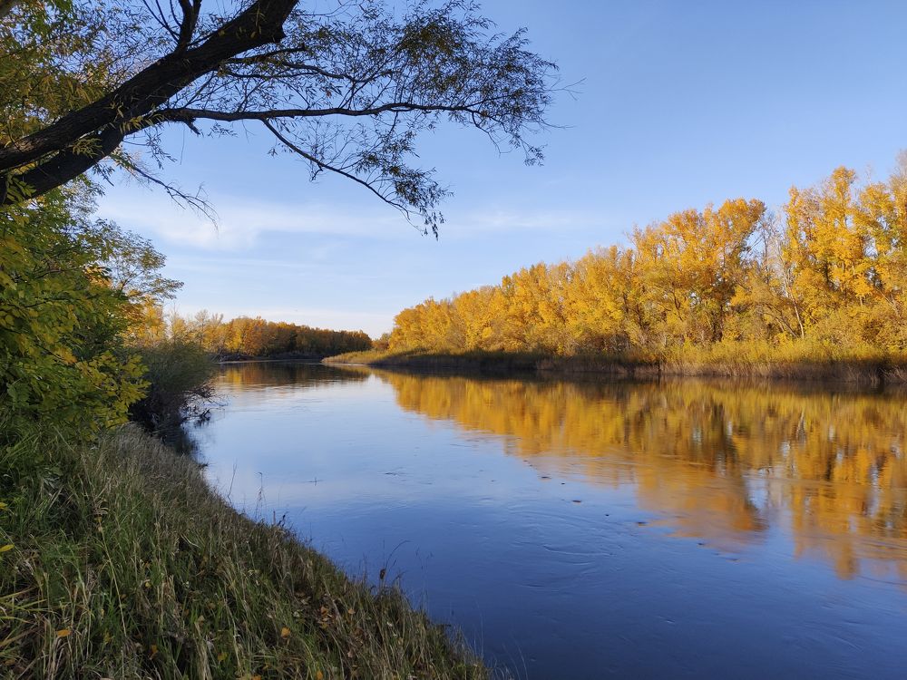 Фотография автора Игорь Бабушкин