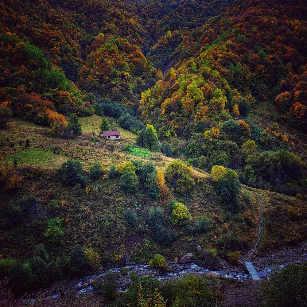 Photograph by Ирина Сушко