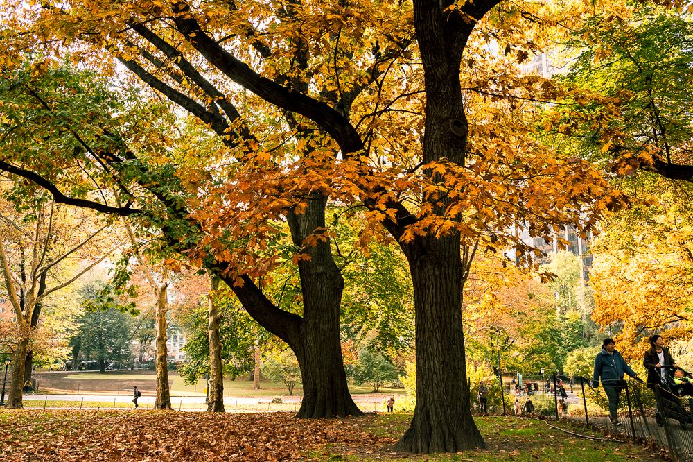 Photograph by Кермен Манджиева