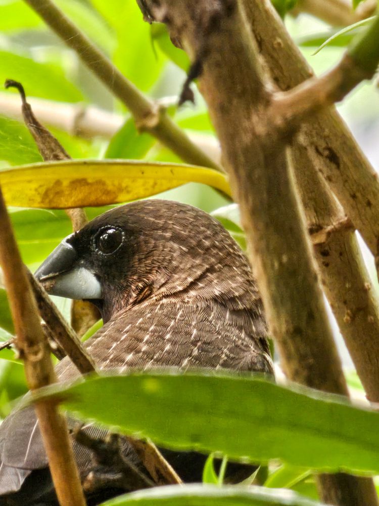 Photograph by Satheesh T S