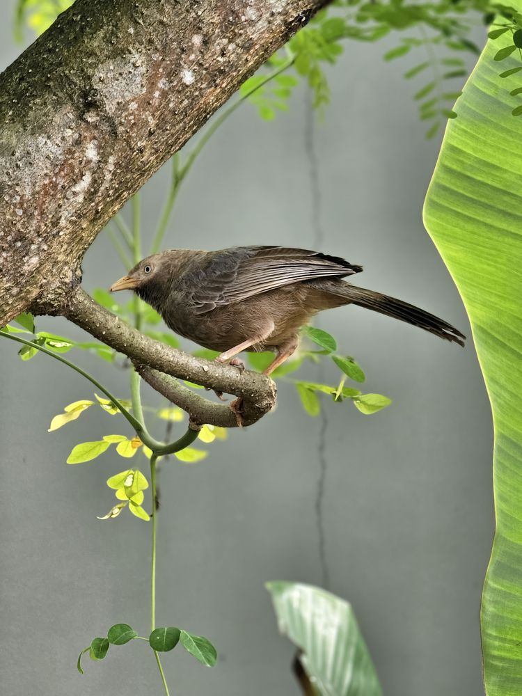 Photograph by Satheesh T S