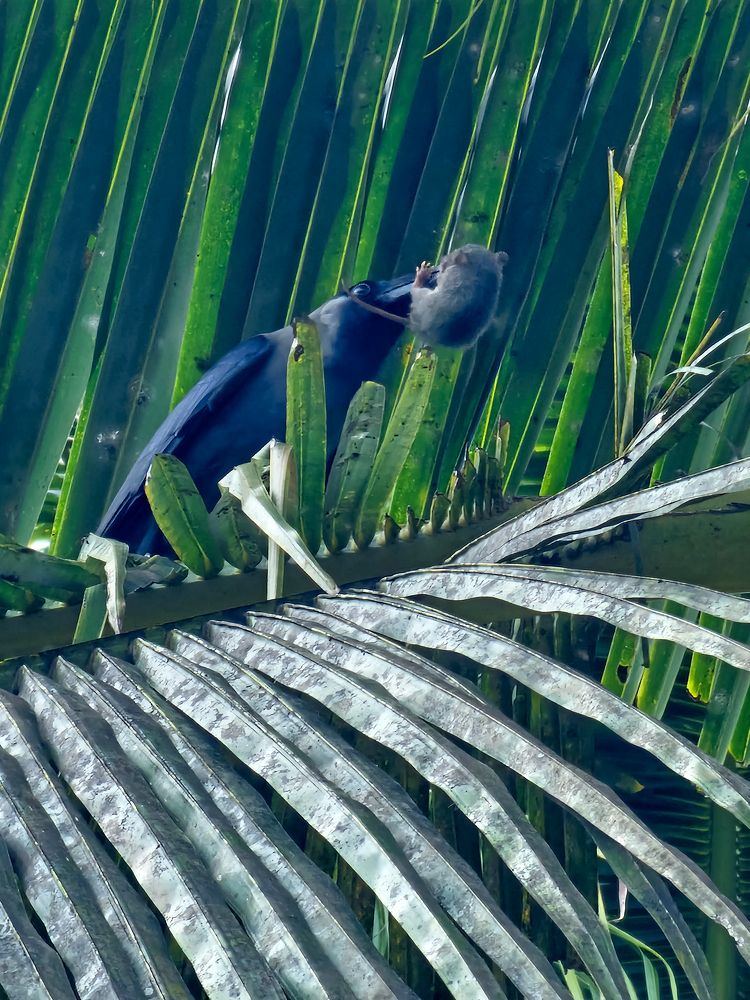 Photograph by Satheesh T S