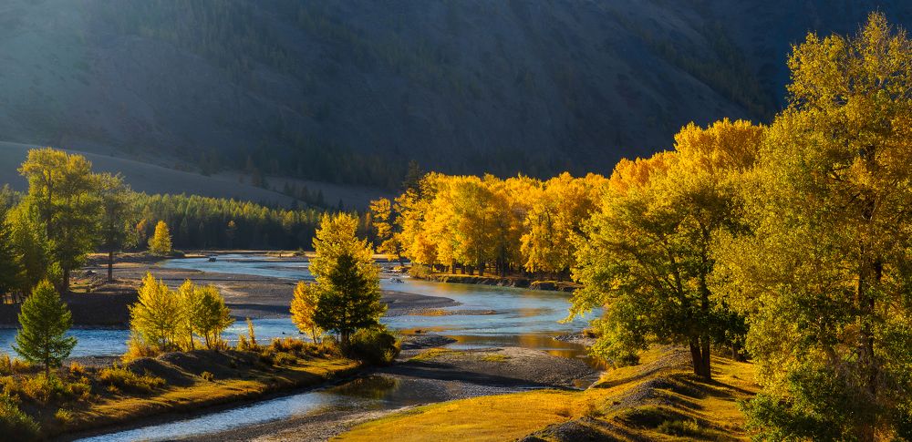 Photograph by Екатерина Дубровская