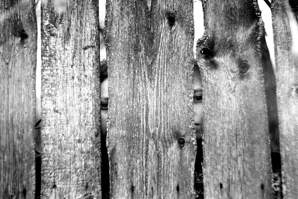 Photograph by Павел Рассадкин