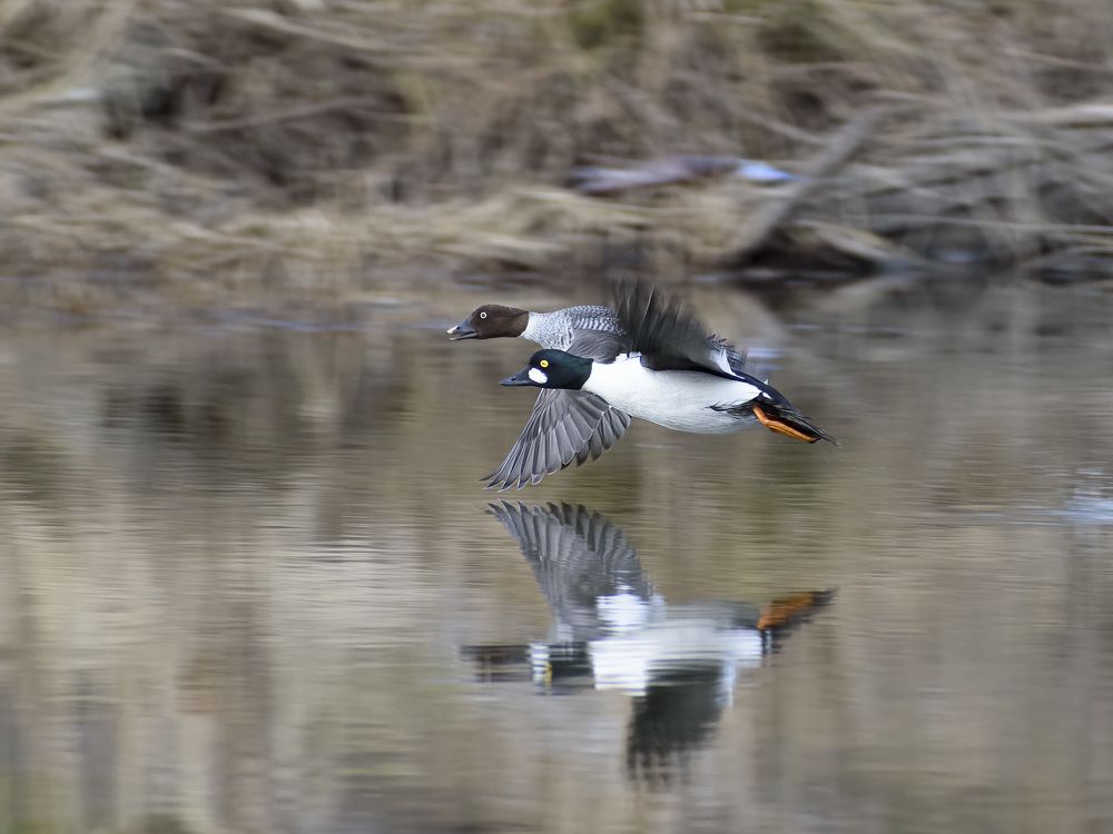 Photograph by Евгений Переведенцев