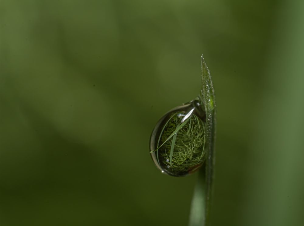 Photograph by Елена Шарапова