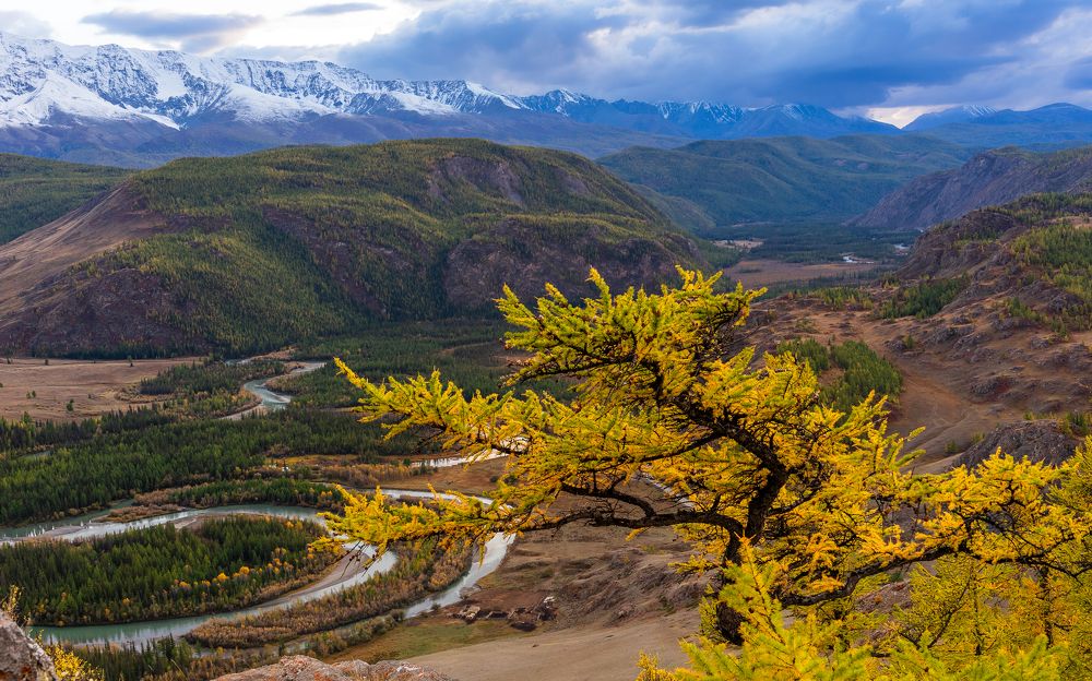 Photograph by Екатерина Дубровская