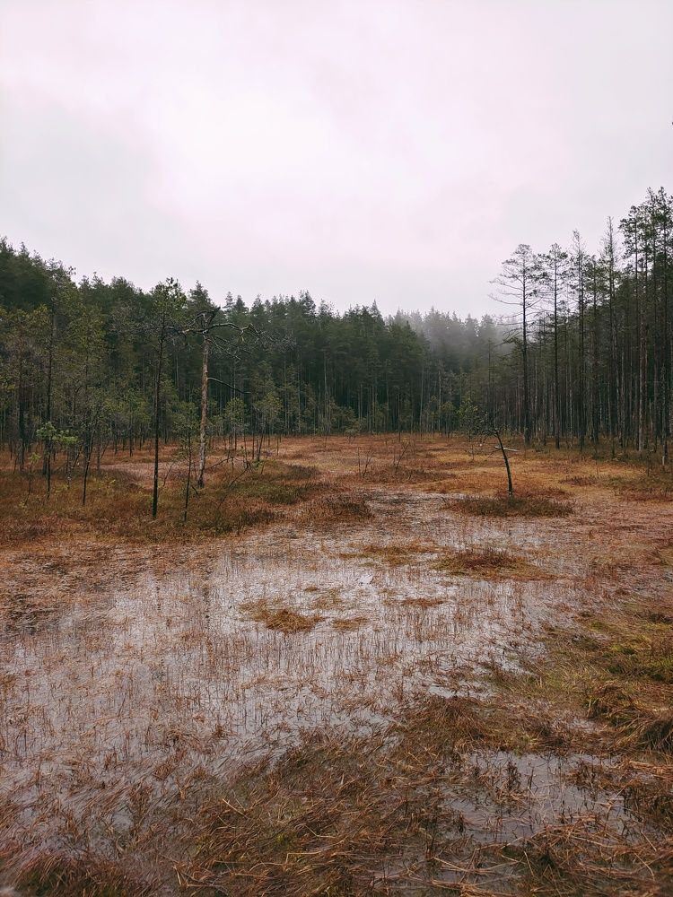 Photograph by Олег Васильев