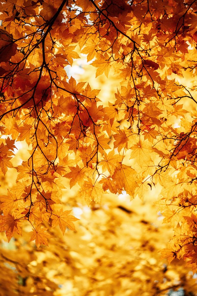 Photograph by Ольга Анисимова