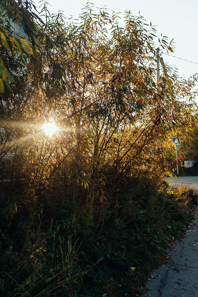 Photograph by Алена Полищук