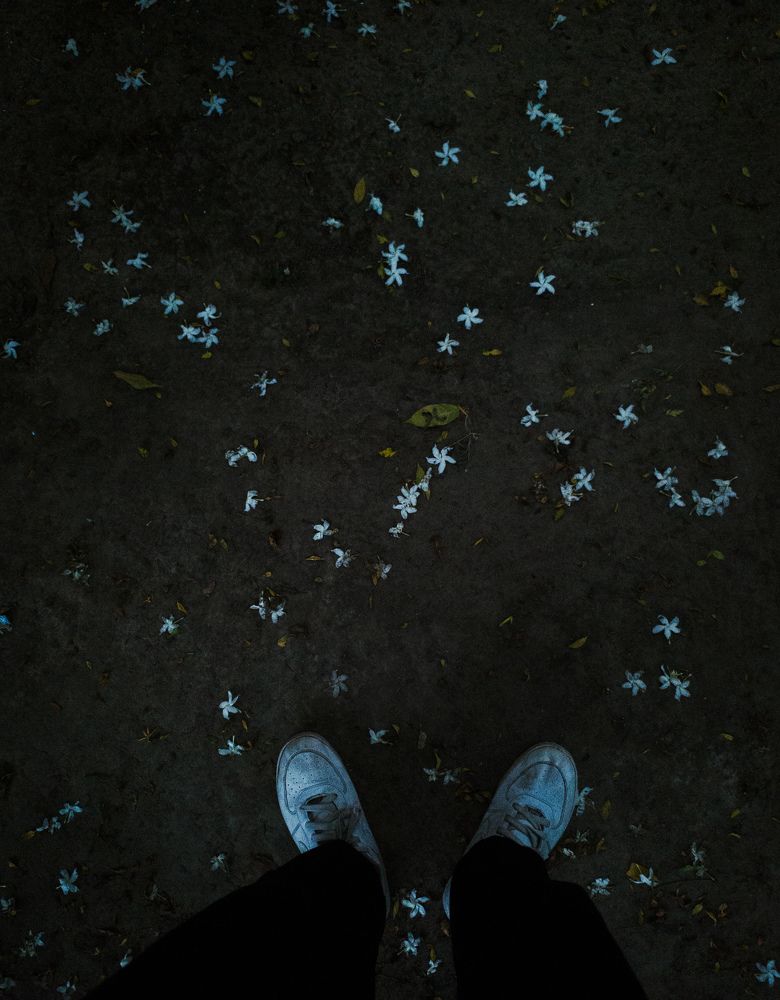 Photo #11108045
