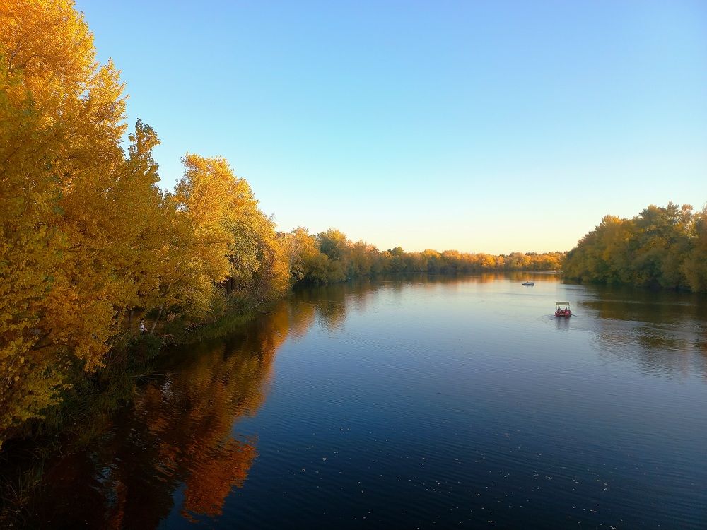 Лучший художник в мире
