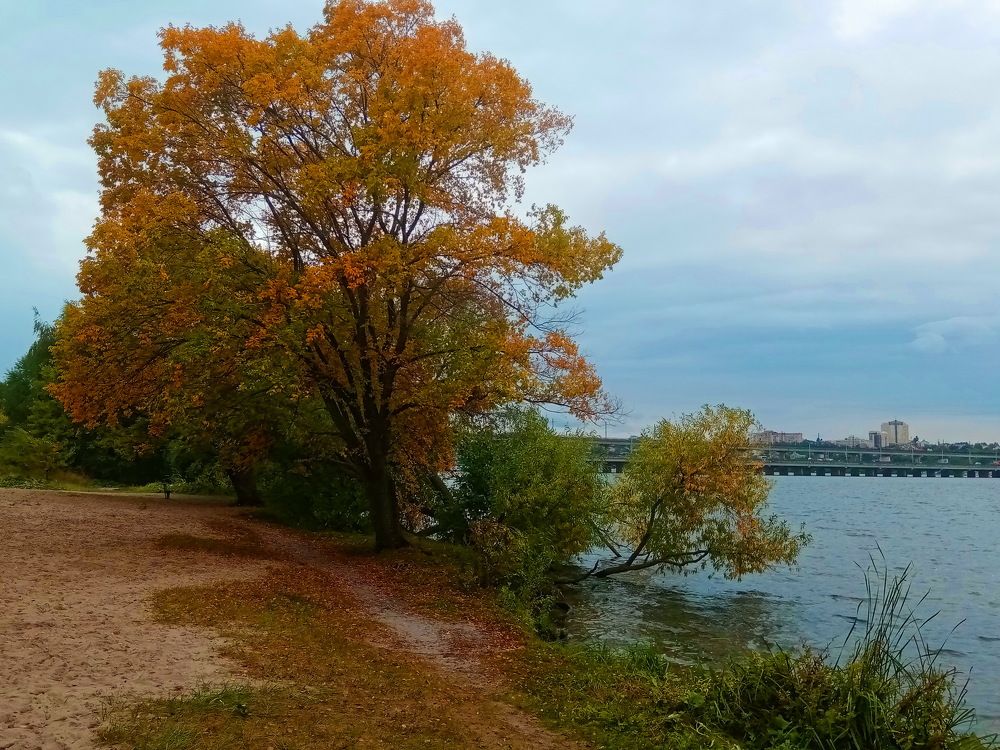 Photograph by Александр Яковлев