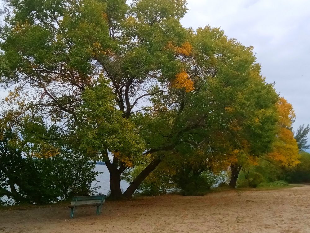 Photograph by Александр Яковлев