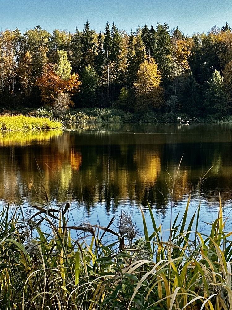 Photograph by Елена Брижеватая