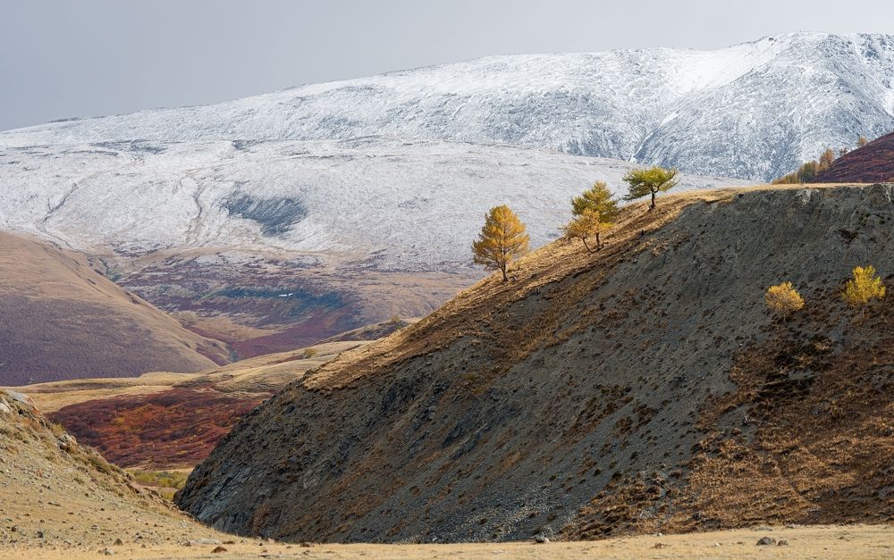 Photograph by Олег Есиков