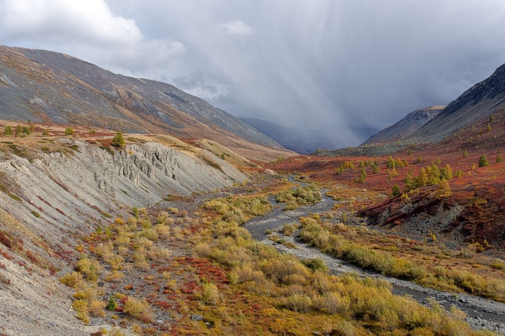 Photograph by Олег Есиков