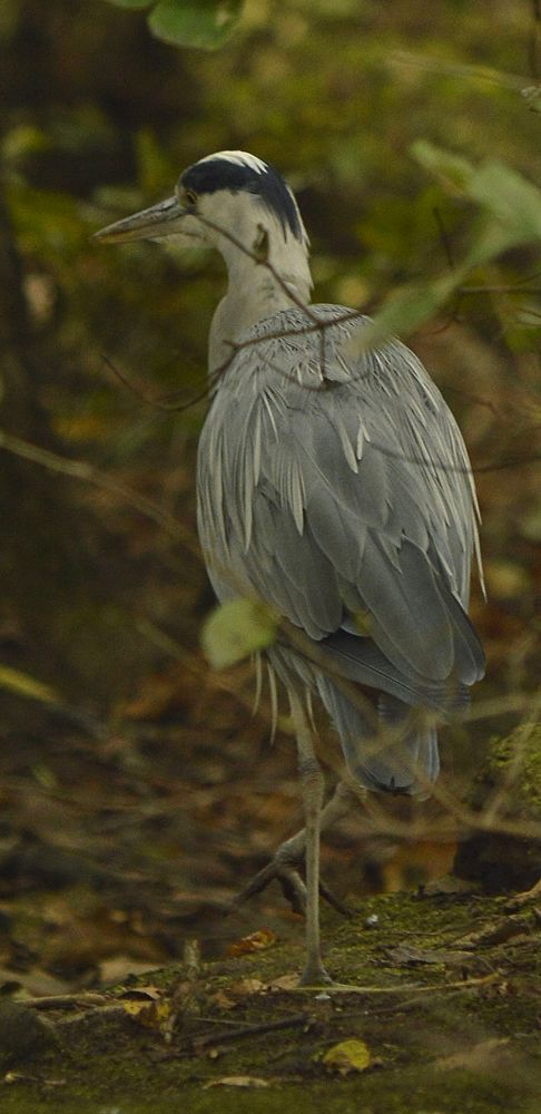 Photograph by Natalia Kopeva