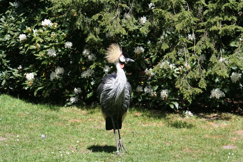 Photograph by Михаил Жарский