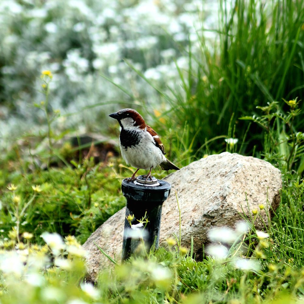 Photograph by Алексей Волков