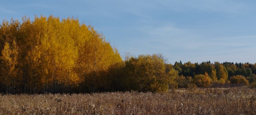 Photograph by Екатерина Лобанова