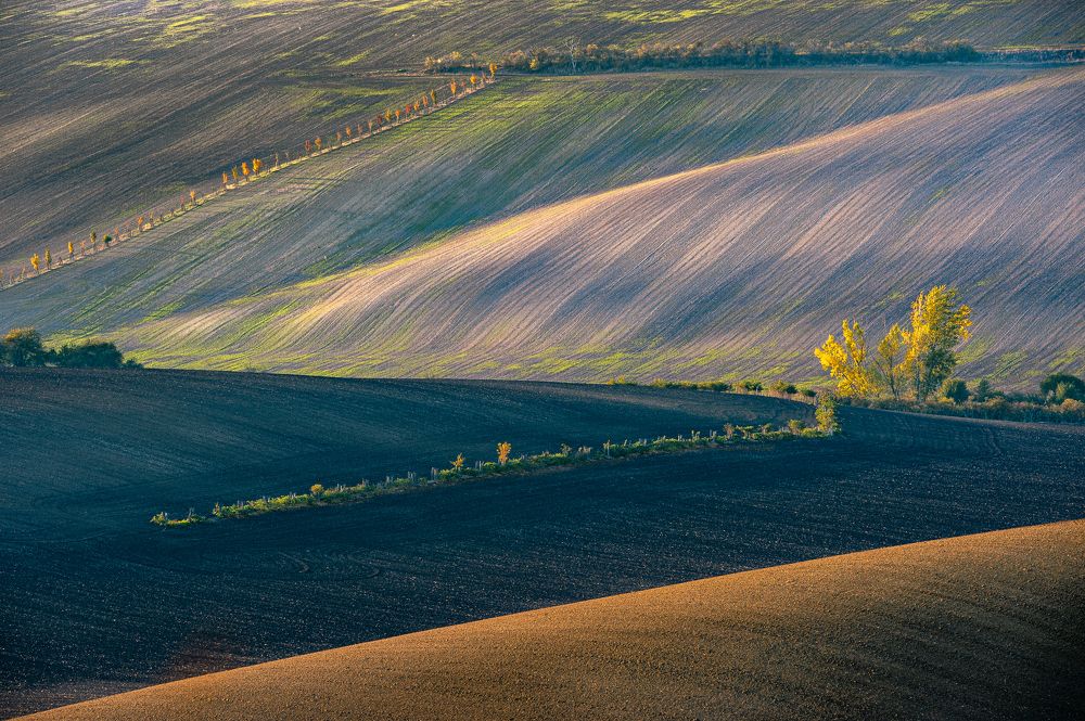 Photograph by ПАВЕЛ