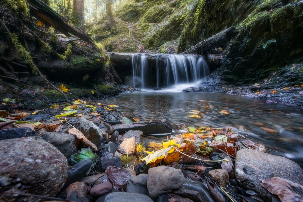 Photograph by Alexander Ornatskiy