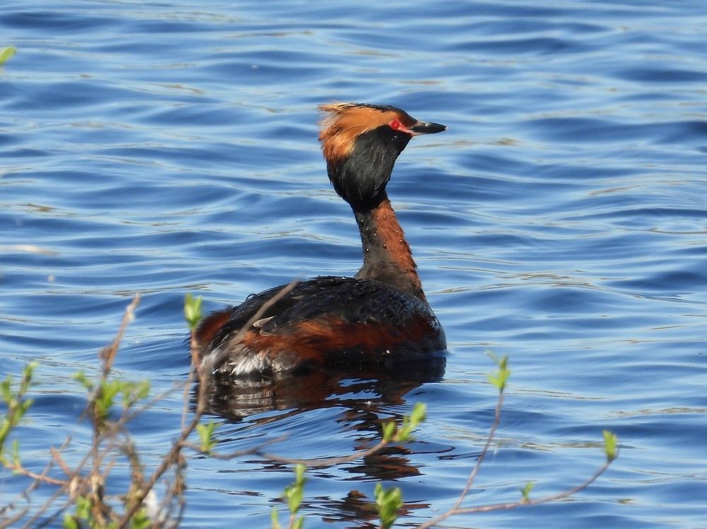 Photograph by Владимир Джерихов