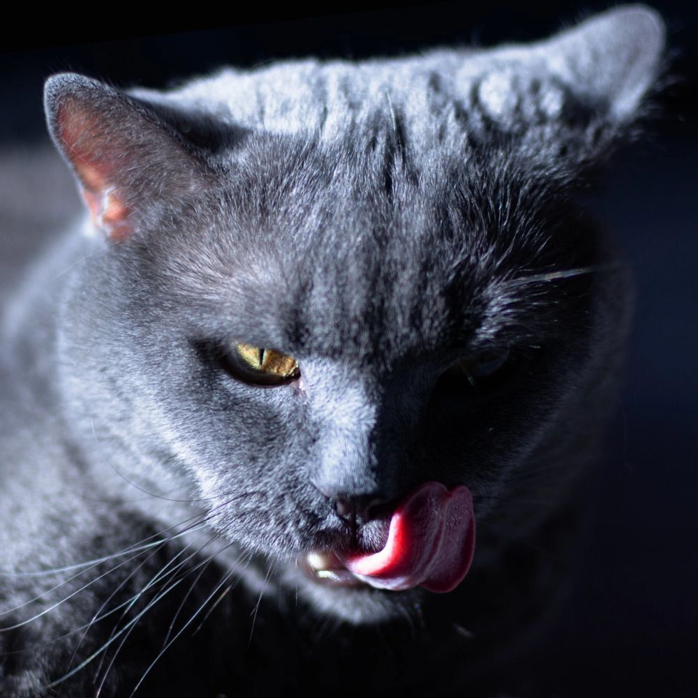 Photograph by Татьяна