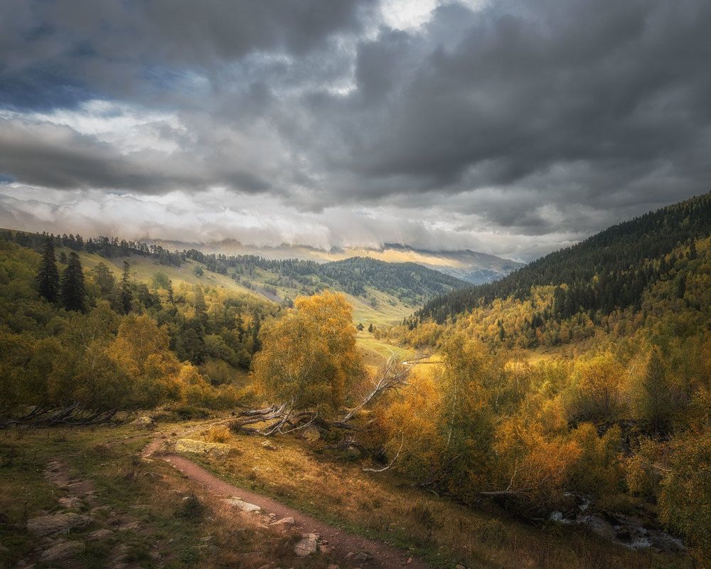 Photograph by Кахарова Наргиза