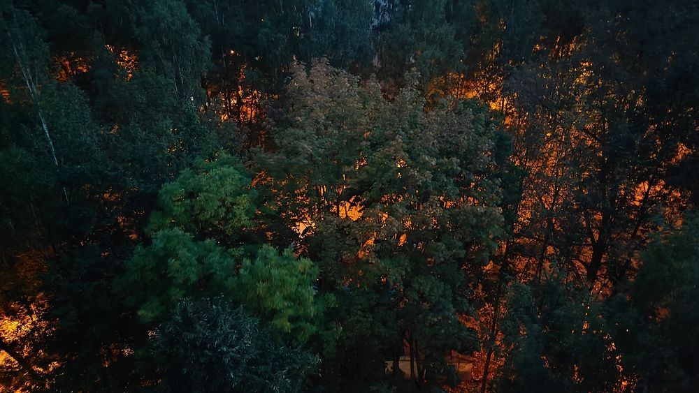 Photograph by Елена Юдина