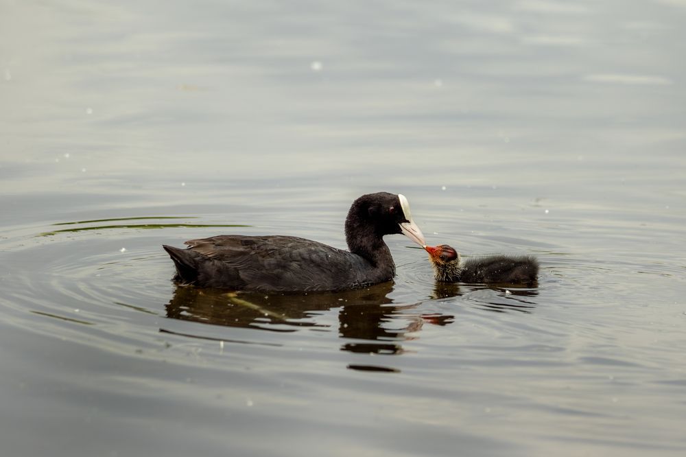Photograph by Юлия Куликова