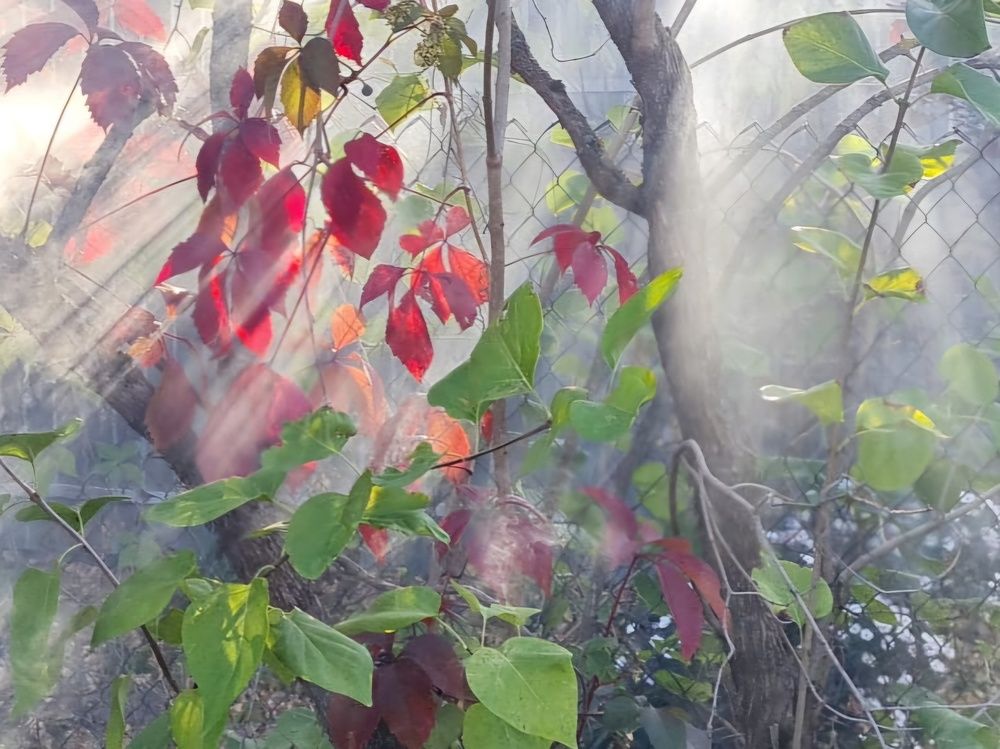 Photograph by Elena Lukashina