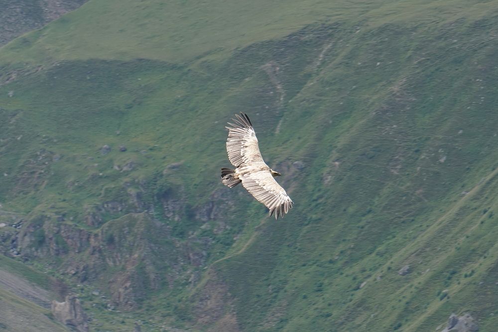 Photograph by Игорь Семеновский