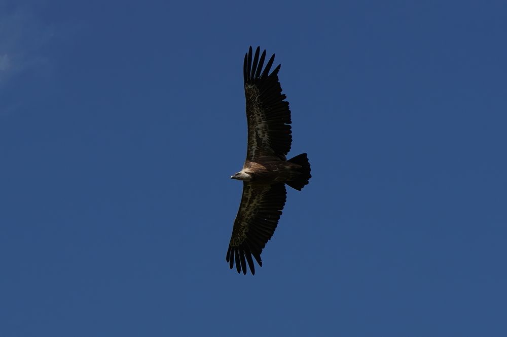 Photograph by Игорь Семеновский