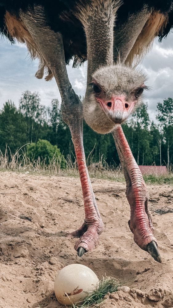 Photograph by Екатерина Бердутина