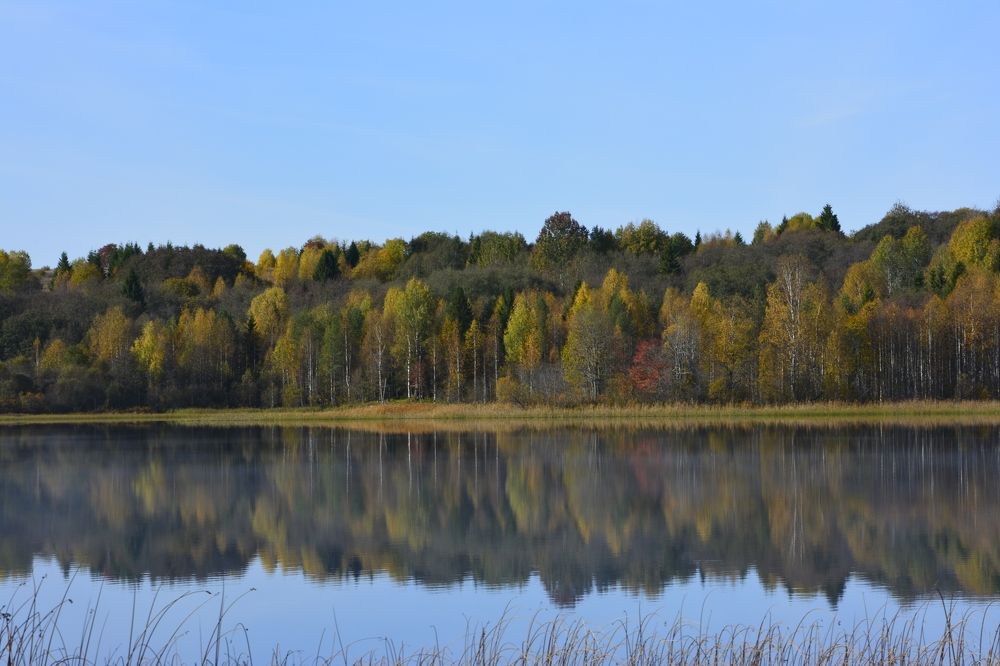 Photograph by Галина Катанова