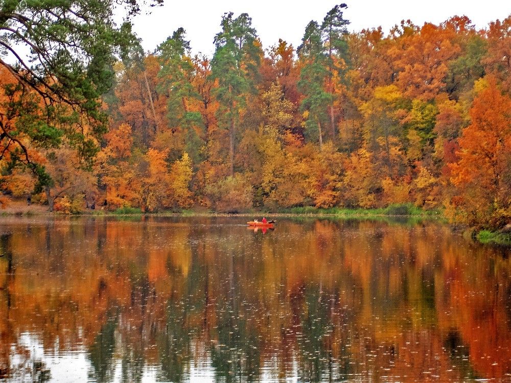 Photograph by Мила Милая