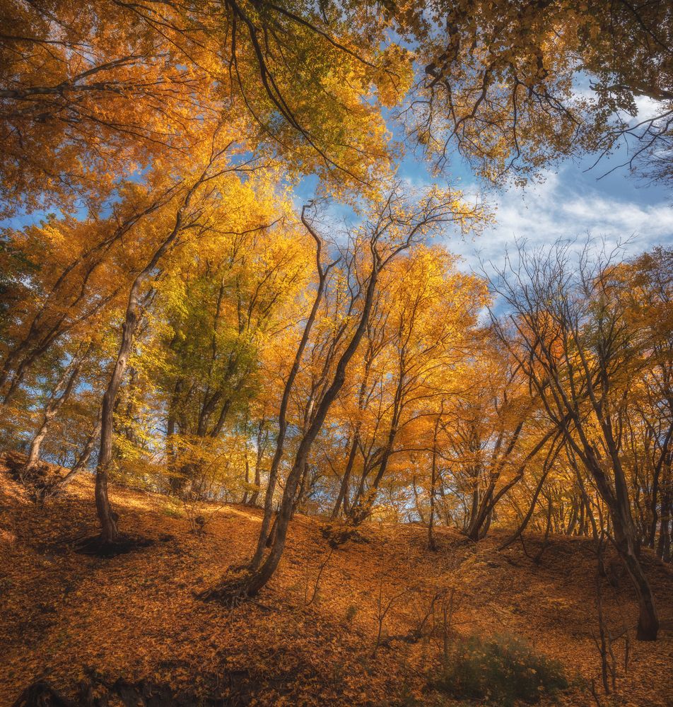 Photograph by Кахарова Наргиза