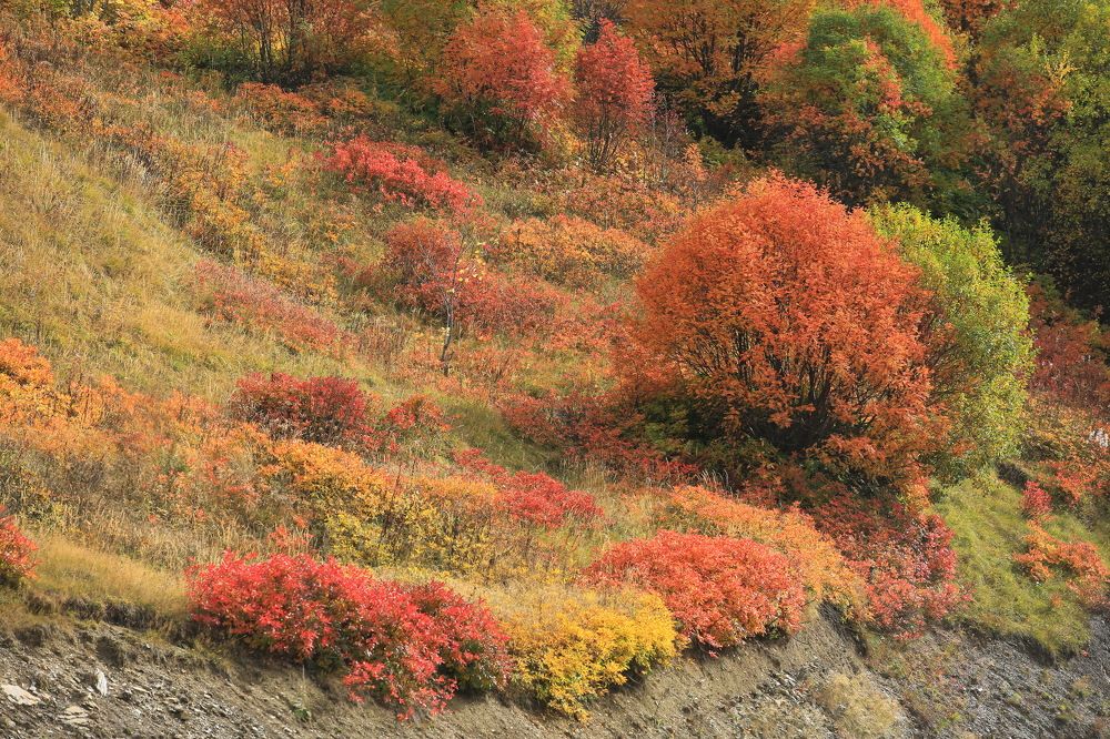 Photograph by Ирина Сушко