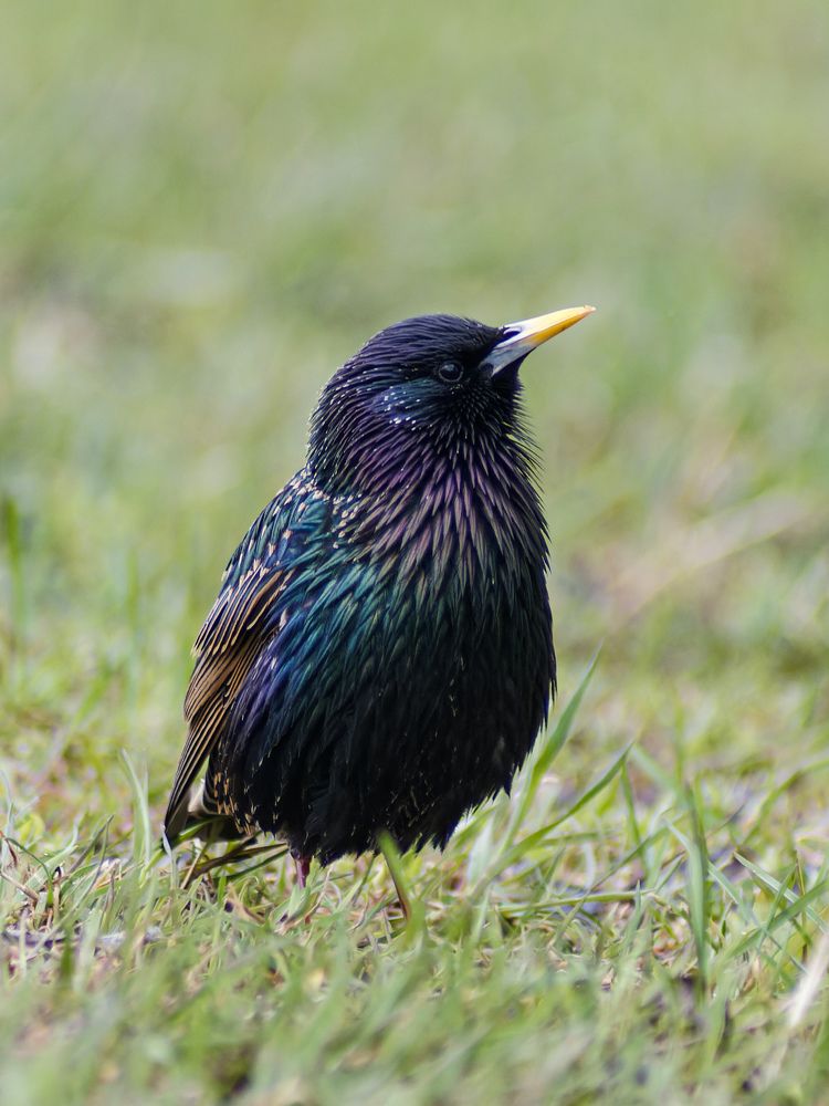 Photograph by Карина Заводчикова