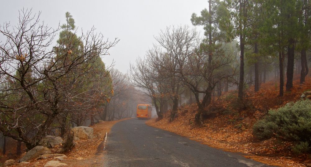 Photograph by Prometej