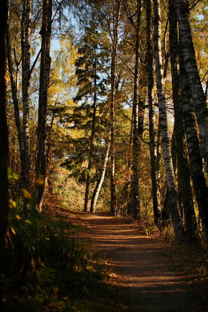 Photograph by Гусева Марина