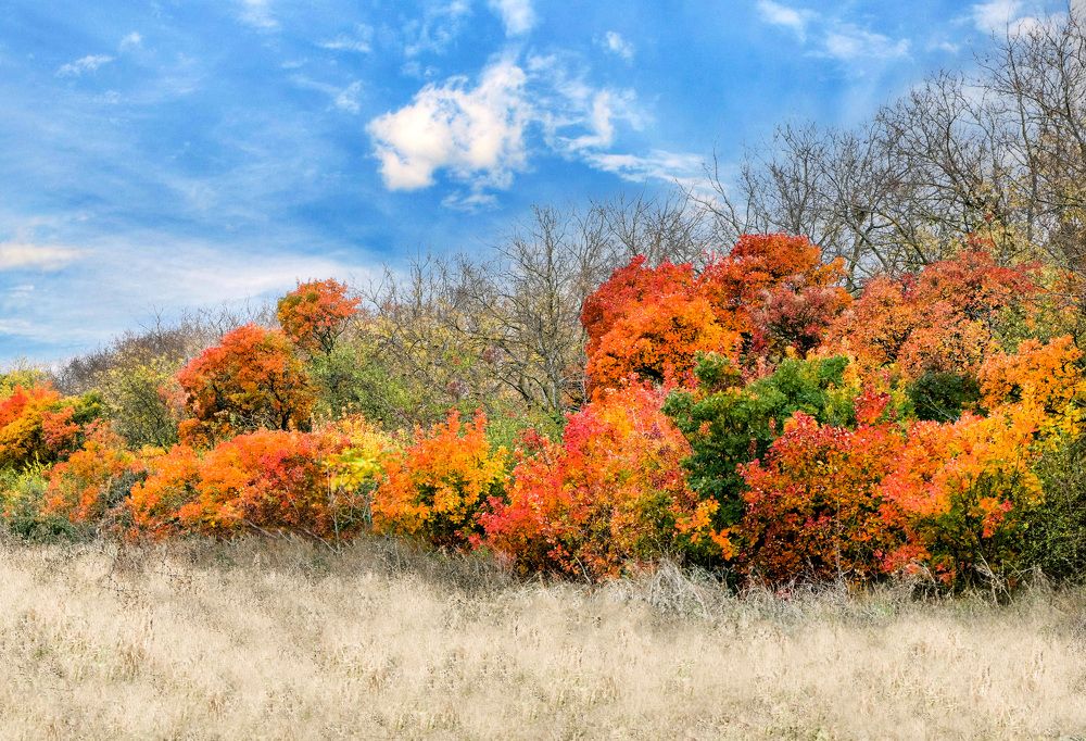 Photograph by Юлия Ковальчук
