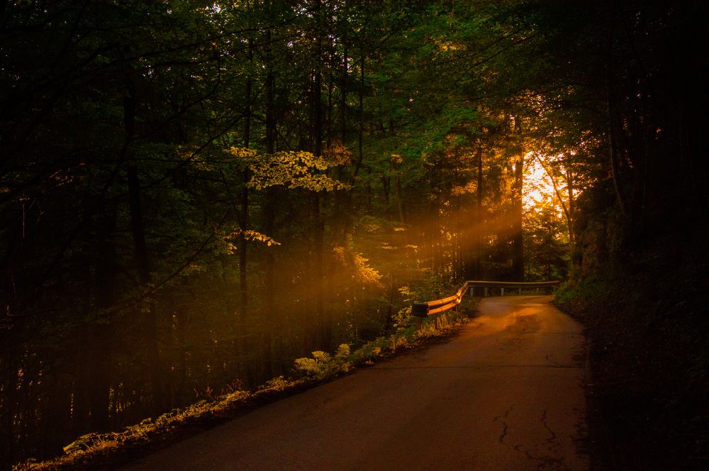 Photograph by Liliana Negoi