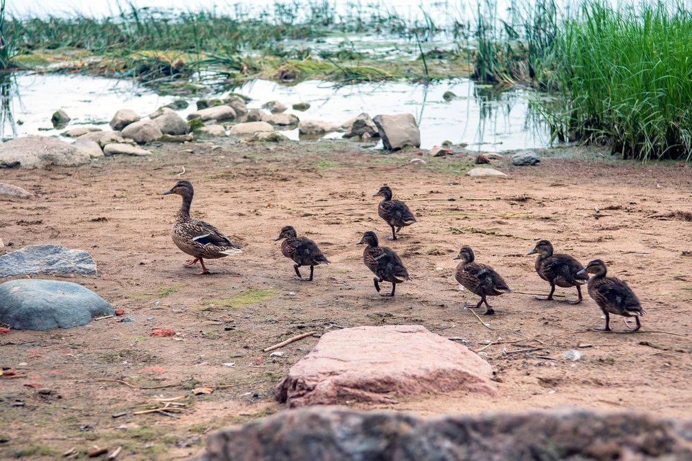 Photograph by Демьян Лопатов